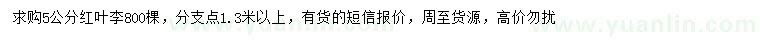 求購5公分紅葉李