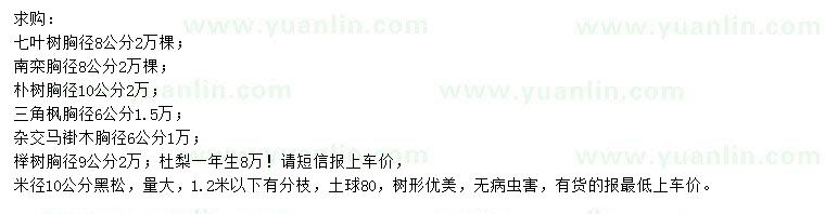求購七葉樹、南欒、樸樹等