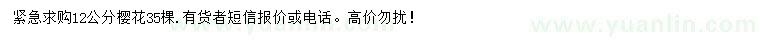 求購(gòu)12公分櫻花