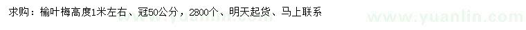 求購高1米榆葉梅