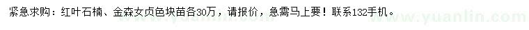 求購紅葉石楠、金森女貞色塊苗