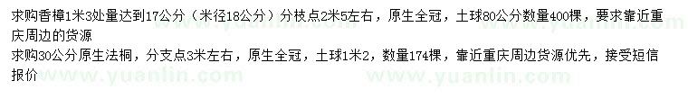 求購1米3處量達到17公分香樟、30公分原生法桐