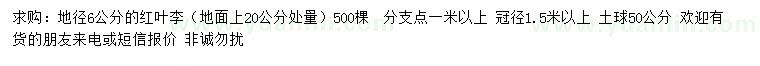 求購地徑6公分紅葉李