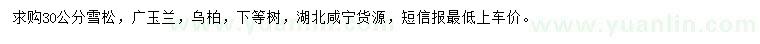 求購雪松、廣玉蘭、烏柏