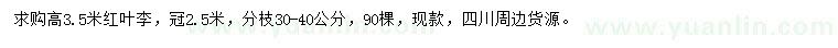 求購高3.5米紅葉李