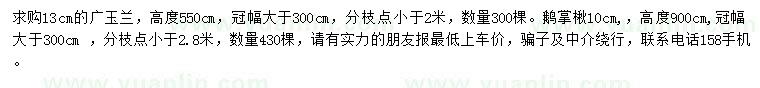 求購13公分廣玉蘭、10公分鵝掌楸
