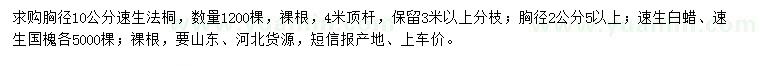 求購速生法桐、速生白蠟、速生國槐