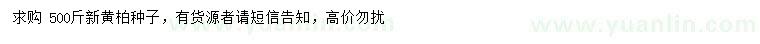 求購黃柏種子