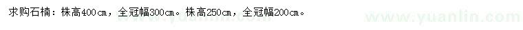 求購高2.5、4米石楠
