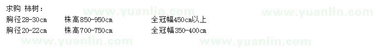 求購胸徑20-22、28-30公分柿樹