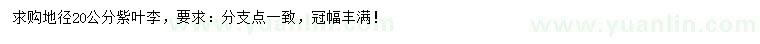 求購(gòu)地徑20公分紫葉李