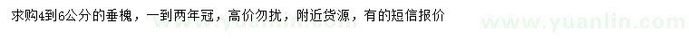 求購(gòu)4-6公分垂槐