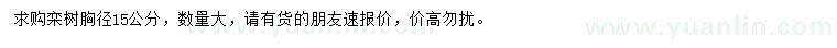求購胸徑15公分欒樹