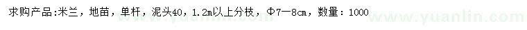 求購7-8公分米蘭