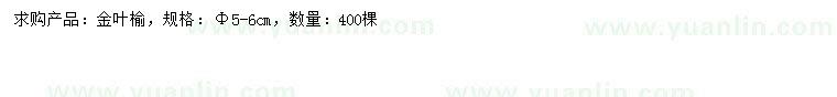 求購5-6公分金葉榆
