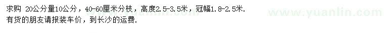 求購20公分量10公分紅葉石楠