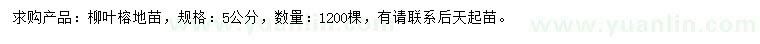 求購5公分柳葉榕