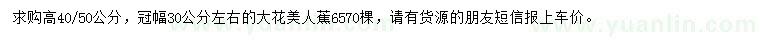求購(gòu)高40-50公分大花美人蕉