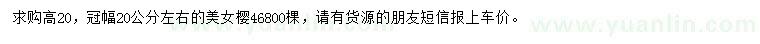 求購高20公分美女櫻