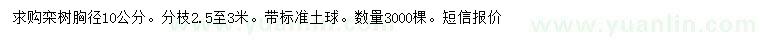 求購胸徑10公分欒樹