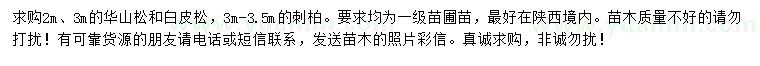 求購華山松、白皮松、刺柏