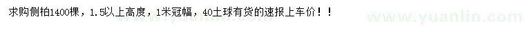 求購高1.5米以上側(cè)柏