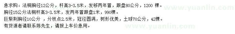 求購胸徑12、15公分法桐、10公分巨紫荊 
