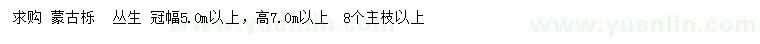 求購高7米以上蒙古櫟