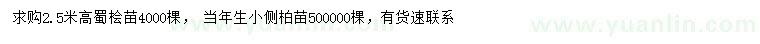 求購(gòu)高2.5米蜀檜、當(dāng)年生側(cè)柏