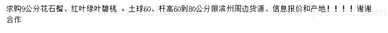 求購9公分花石榴、碧桃 