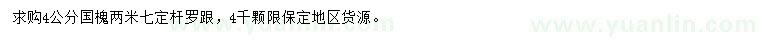 求購4公分國槐