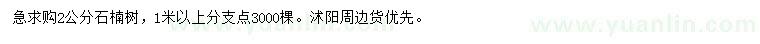 求購2公分石楠樹