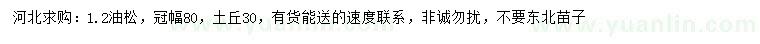 求購1.2米油松