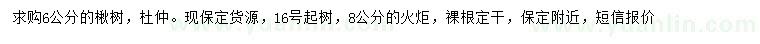 求購楸樹、杜仲、火炬