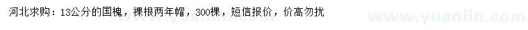 求購13公分國槐