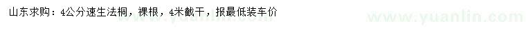 求購4公分速生法桐