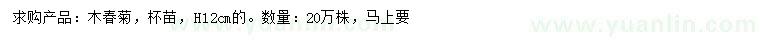 求購(gòu)12公分木春菊