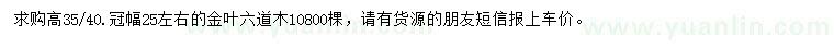 求購(gòu)高35-40公分金葉六道木