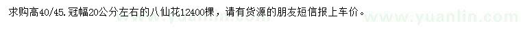 求購高40-45公分八仙花