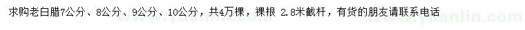 求購7、8、9、10公分老白臘