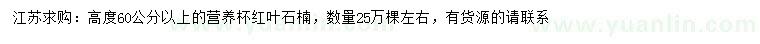 求購高60公分以上紅葉石楠
