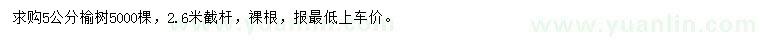 求購5公分榆樹
