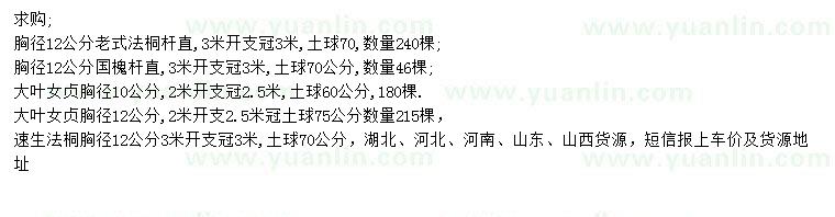 求購(gòu)老式法桐、國(guó)槐、大葉女貞等
