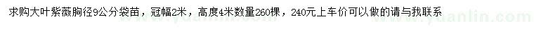 求購胸徑9公分大葉紫薇