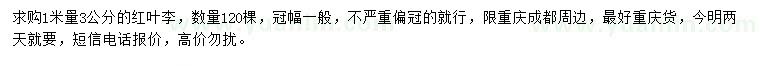 求購(gòu)1米量3公分紅葉李