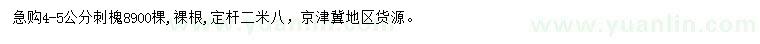 求購4-5公分刺槐