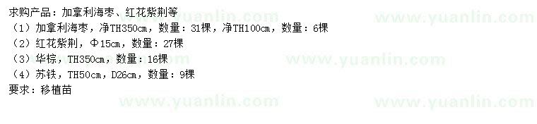 求購加拿利海棗、紅花紫荊、華棕等