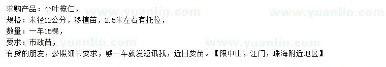 求購米徑12公分小葉欖仁