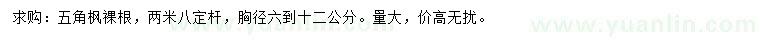 求購胸徑6-12公分五角楓