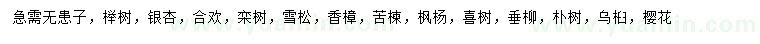 求購(gòu)無(wú)患子、櫸樹(shù)、銀杏等